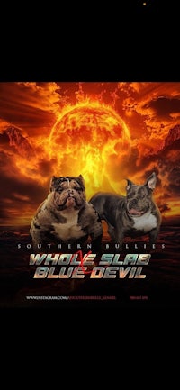 who's slapping blue devil poster